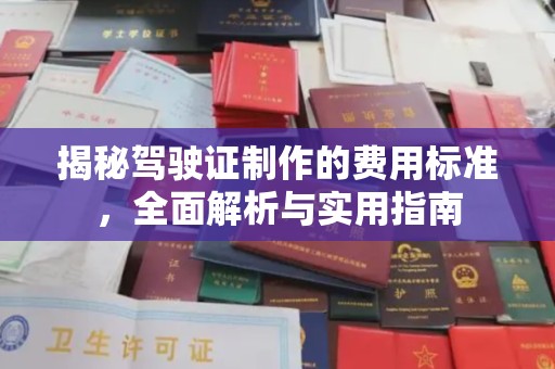 金州新区揭秘驾驶证制作的费用标准，全面解析与实用指南